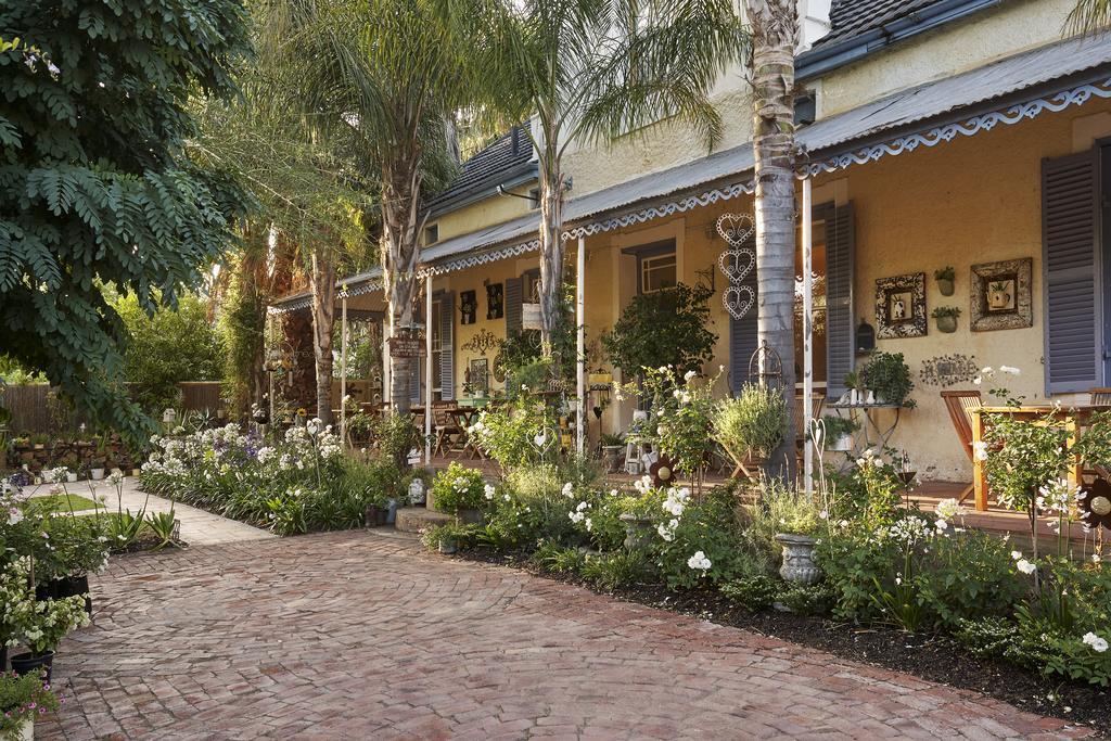 Yellow Aloe Clanwilliam Exterior photo